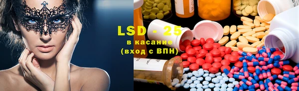 индика Осташков
