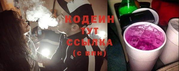 тгк Абаза
