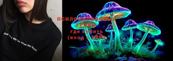 тгк Абаза