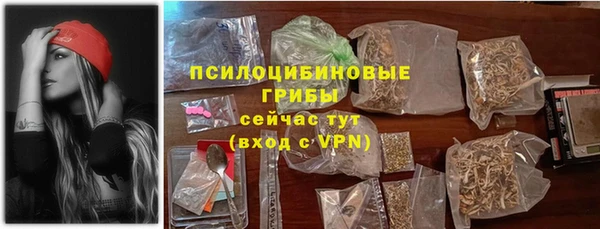 тгк Абаза