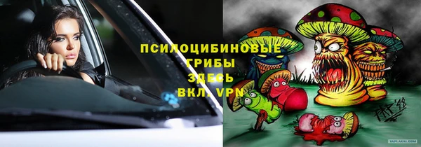 индика Осташков