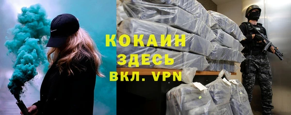 тгк Абаза